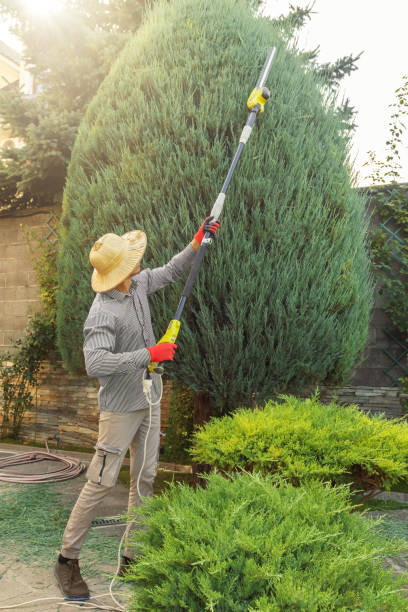 Best Lawn Watering Services  in Keyes, CA